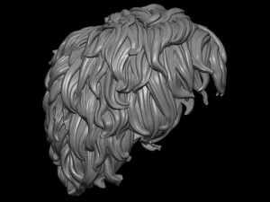Hair 8 3D Print Model