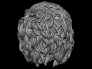 Hair 8 3Dプリントモデル
