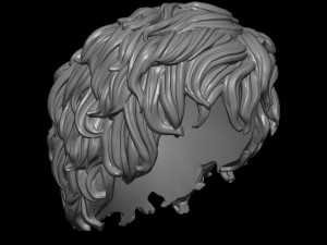 Hair 8 3Dプリントモデル