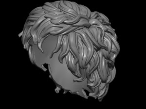 Hair 8 3Dプリントモデル