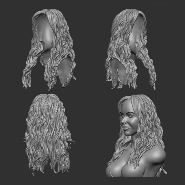 Hair 9 Model do druku 3D .c4d .max .obj .3ds .fbx .stl .blend 