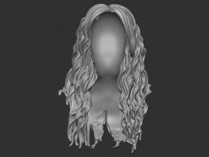 Hair 9 Model do druku 3D