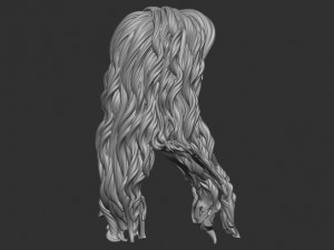 Hair 9 Model do druku 3D