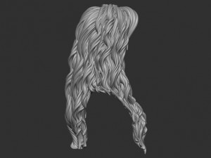Hair 9 Model do druku 3D