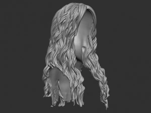 Hair 9 3D Print Model