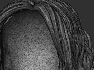 Hair 9 Model do druku 3D