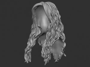 Hair 9 3D Print Model
