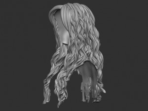 Hair 9 Model do druku 3D