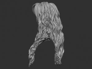 Hair 9 3D Print Model