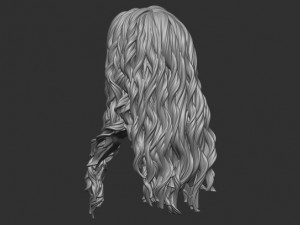 Hair 9 Model do druku 3D