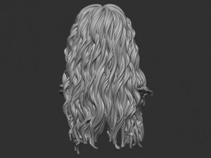 Hair 9 Model do druku 3D