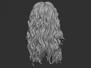 Hair 9 3D Print Model