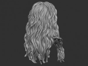 Hair 9 Model do druku 3D