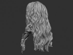 Hair 9 Model do druku 3D