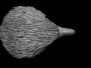 Adler 3D Druckmodell