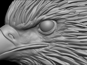 eagle Modelo de Impressão 3D