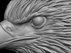 Adler 3D Druckmodell