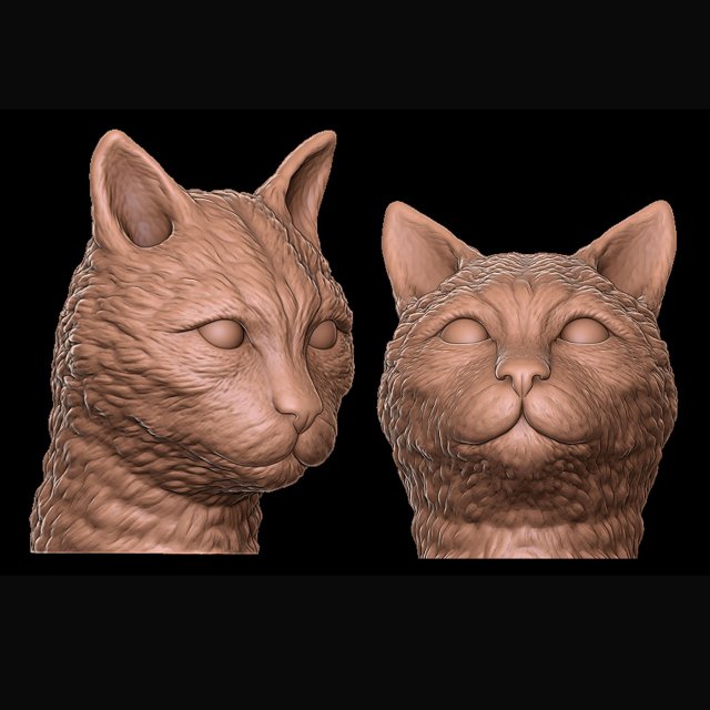 cat Model Cetak 3D .c4d .max .obj .3ds .fbx .stl .blend 