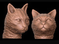 gato Modelo de Impressão 3D