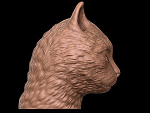 cat Model Cetak 3D