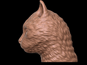 cat Model Cetak 3D