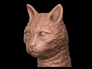 cat Model Cetak 3D
