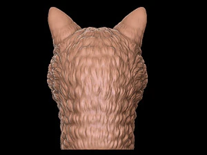 gato Modelo de Impressão 3D