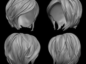 Hair 10 3D Print Model