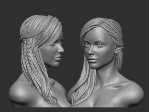 Hair 11 3D Print Model