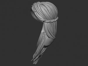 Hair 11 3D Print Model