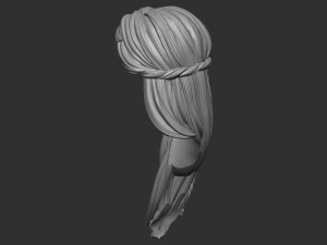 Hair 11 3D Print Model