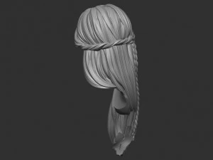 Hair 11 3D Print Model