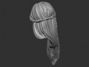 Hair 11 3D Print Model