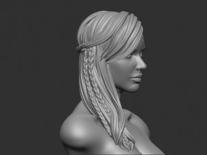 Hair 11 3D Принт Модель