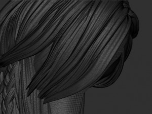 Hair 11 3D Принт Модель