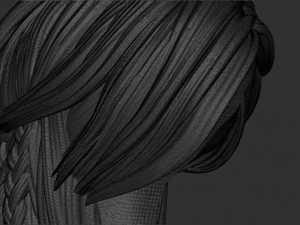 Hair 11 3D Print Model