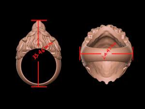 3D w&uuml;tender L&ouml;wenring 3D Druckmodell