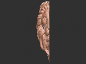 Lion head 3D print model Modello di stampa 3D