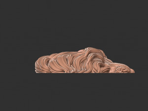 Lion head 3D print model Modello di stampa 3D