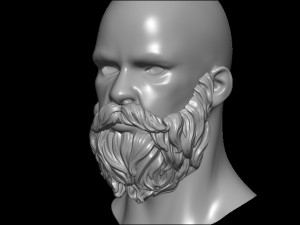 Beard 1 3D Print Model