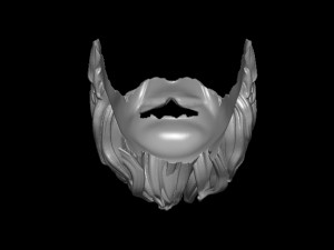 Beard 1 3D Print Model