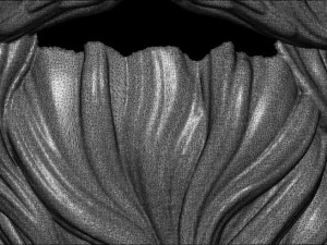 Bart 1 3D Druckmodell