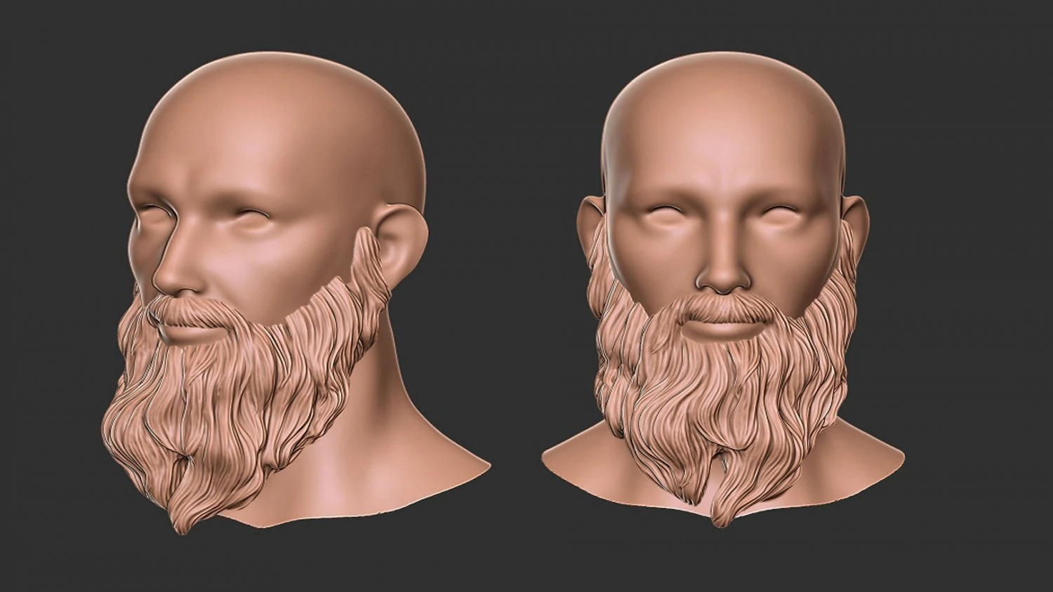 Beard 2 3D Print Model .c4d .max .obj .3ds .fbx .stl .blend