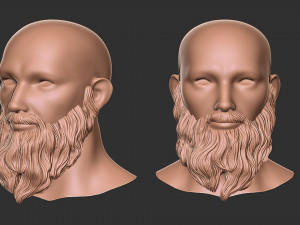 Beard 2 Model Cetak 3D