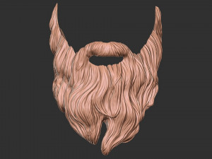 Beard 2 3D 打印模型