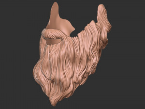 Beard 2 3D 打印模型