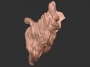 Beard 2 3D 打印模型