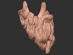 Beard 2 3D 打印模型