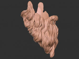 Beard 2 3D Print Model