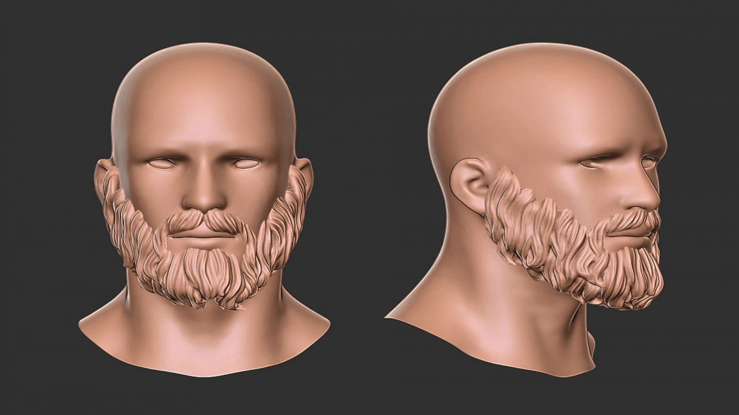 Beard 3 3D Print Model .c4d .max .obj .3ds .fbx .stl .blend